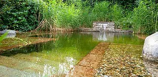 Garten- und Landschaftsbau beinhaltet auch Teichanlagen